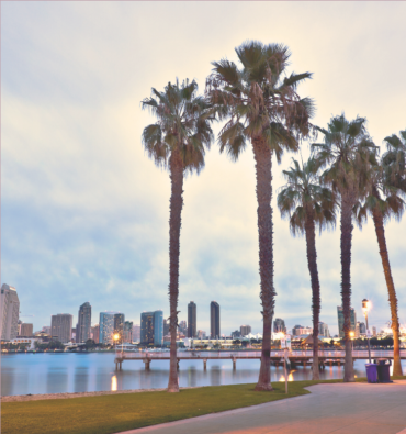 Pelvic Floor Therapy